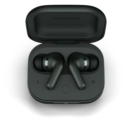 Motorola moto buds+ ANC In-Ear Headphones (Grey)