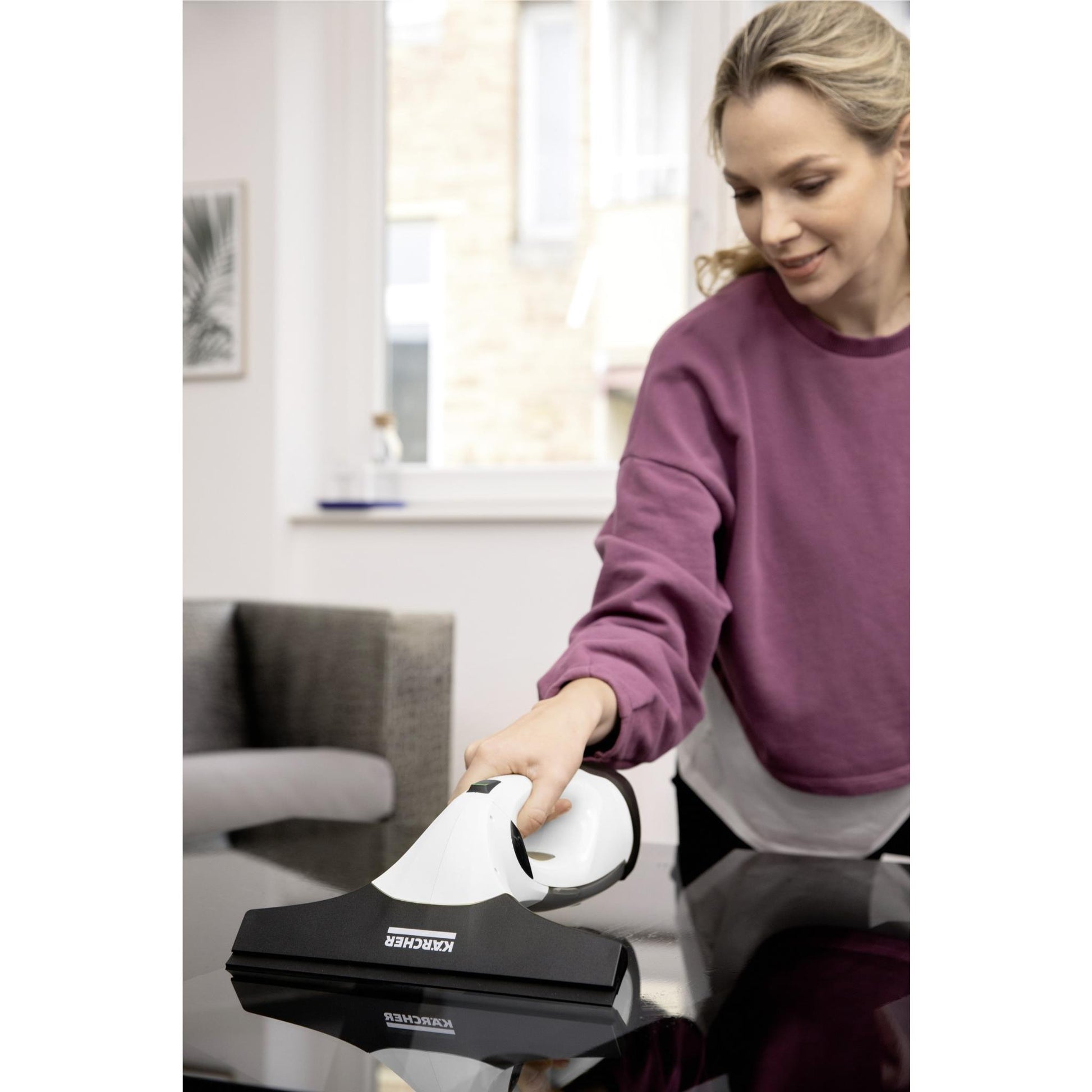 Karcher WV 2 Window Vacuum