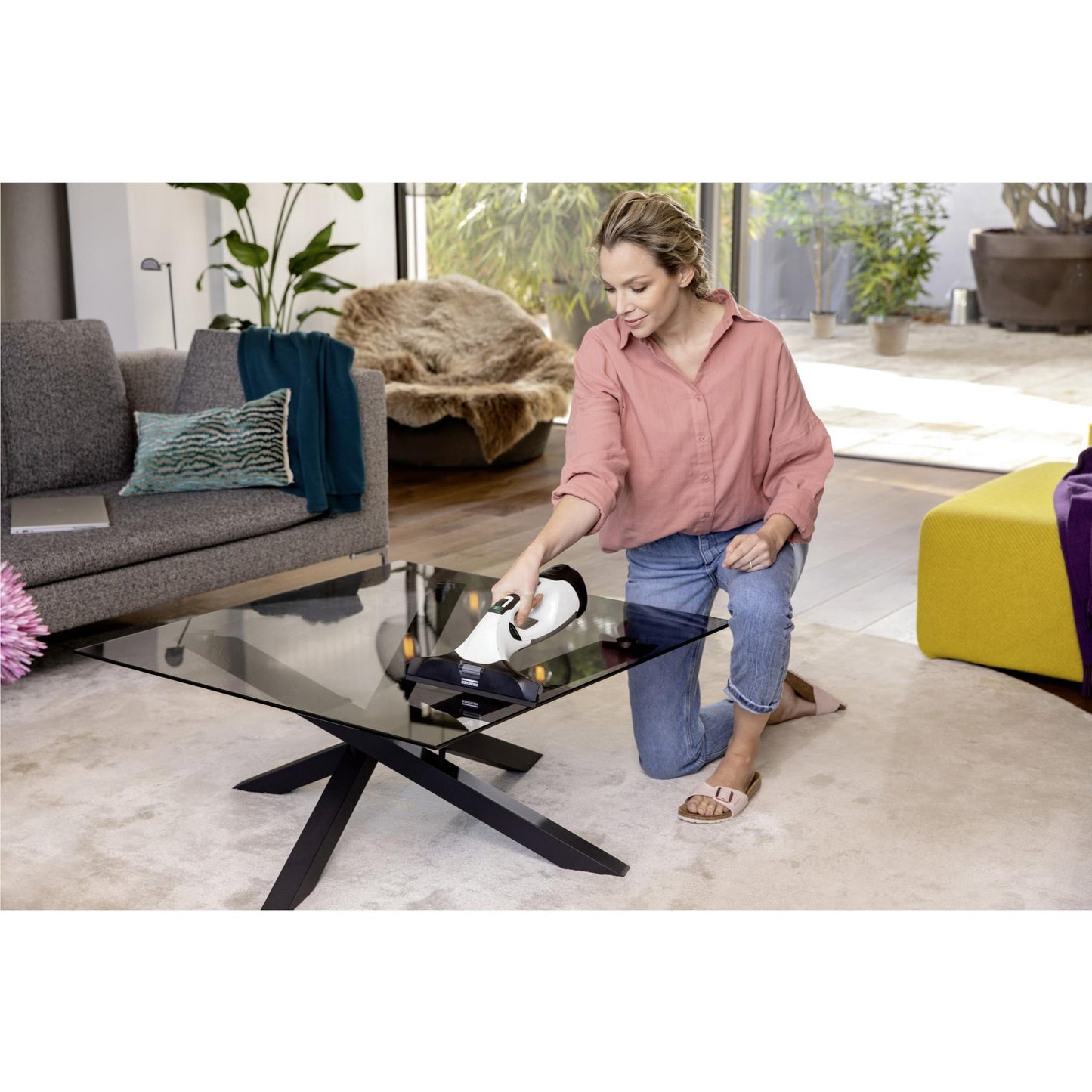Karcher WV 5 Plus N Battery Window Vac