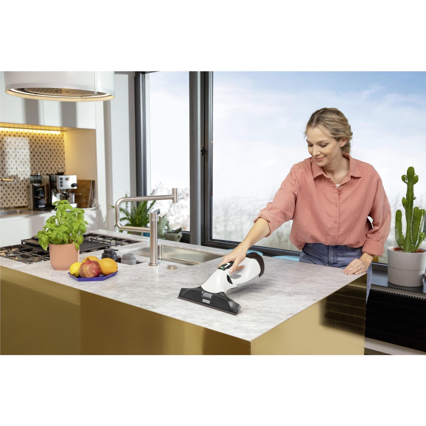 Karcher WV 5 Plus N Battery Window Vac