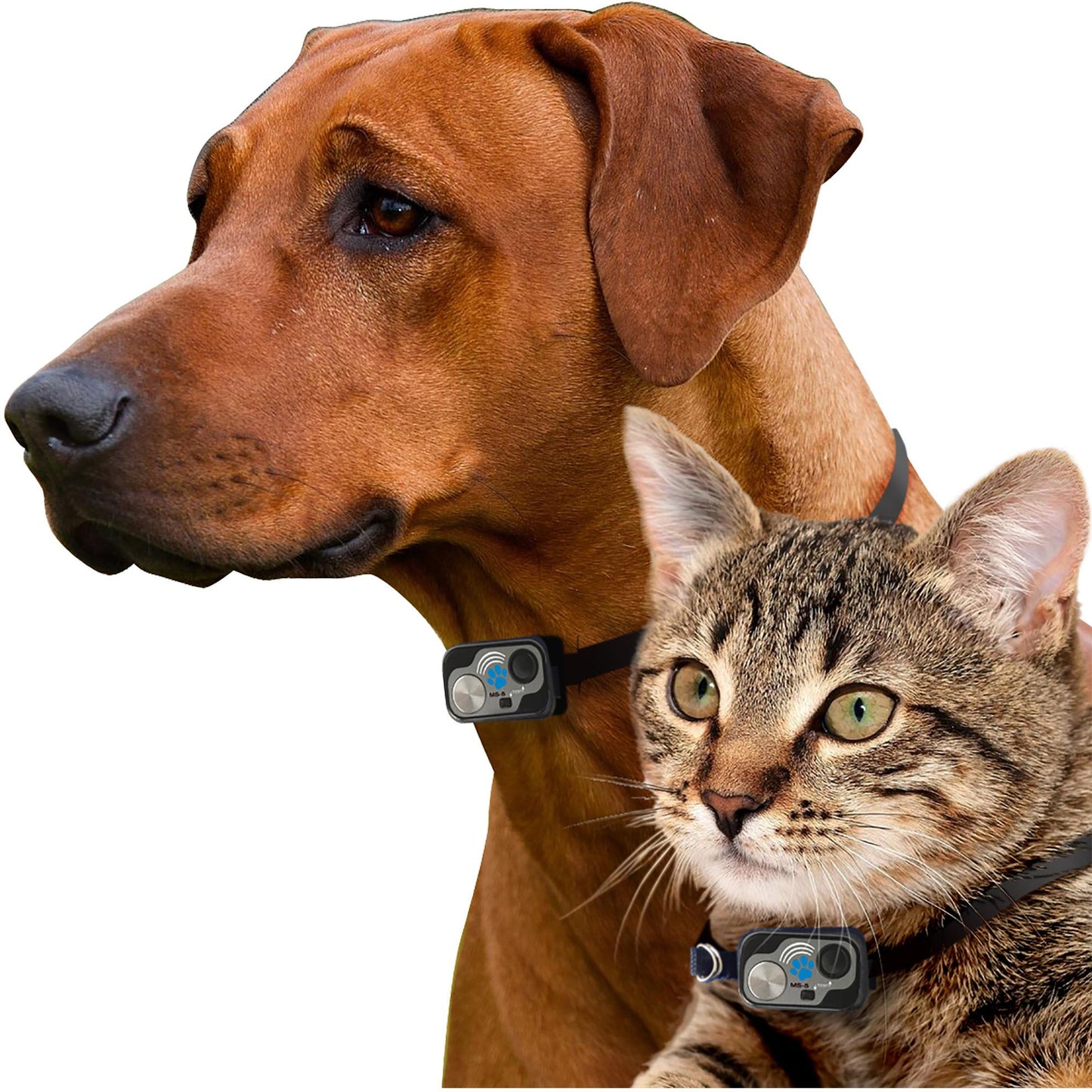 High Tech Pet Door MS-5 Collar