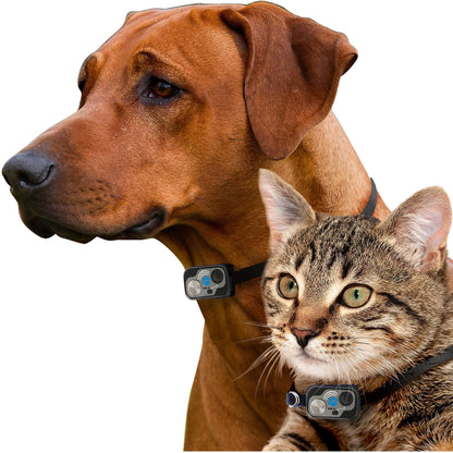 High Tech Pet Door MS-5 Collar