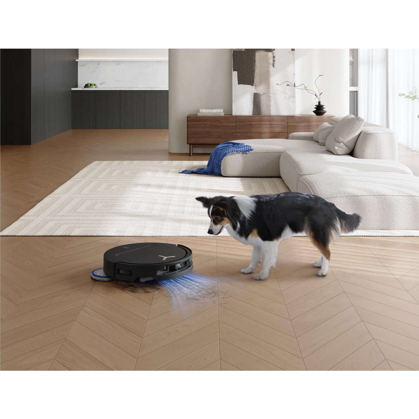 ECOVACS DEEBOT T50 Pro Omni Robotic Vac (Black)