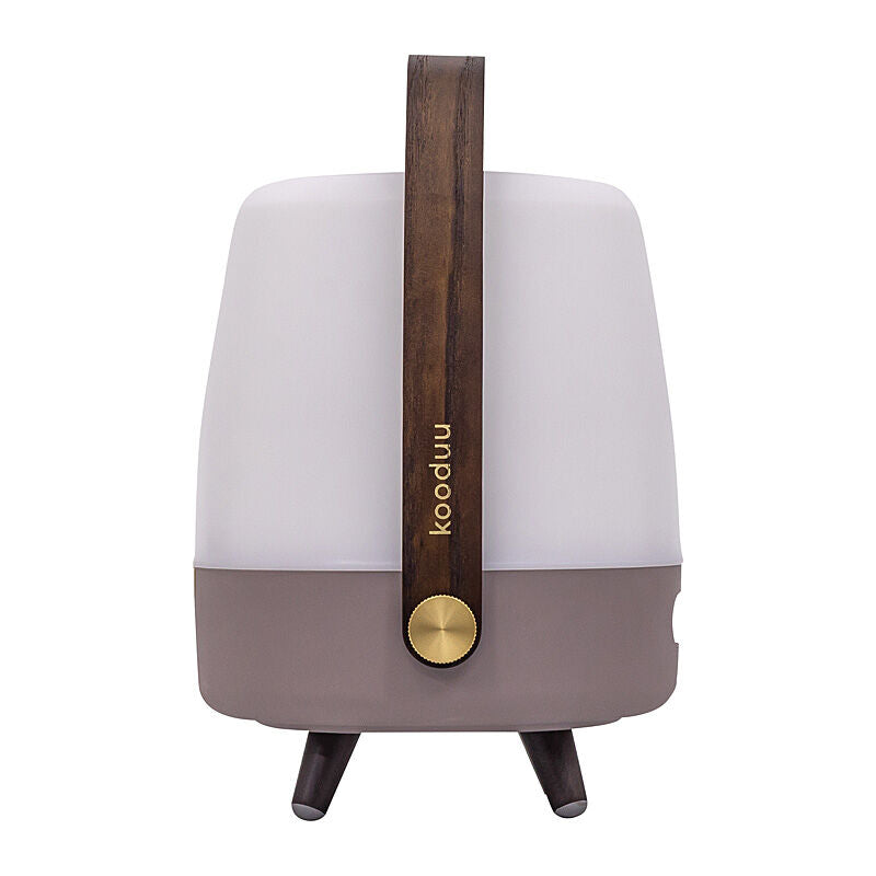 Kooduu Lite-up Play Mini Lamp/Bluetooth Speaker in Earth