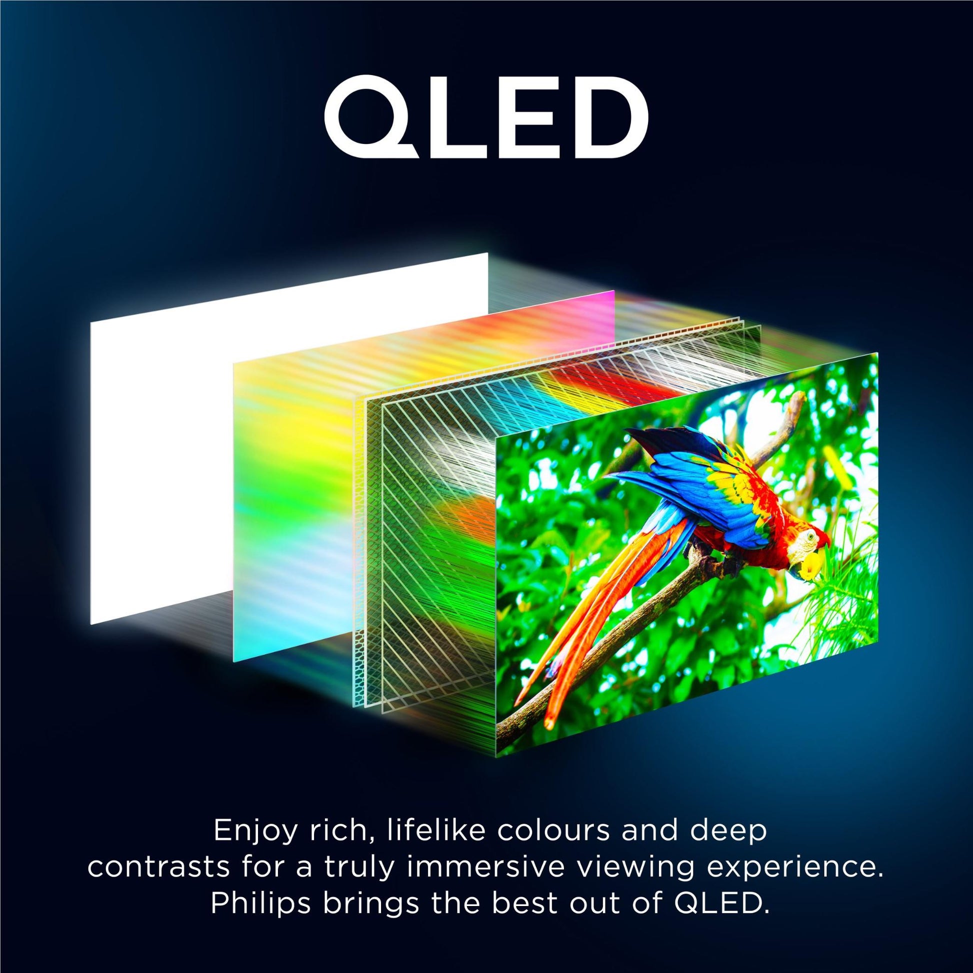 Philips 65" QLED 4K UHD Google TV [2025]