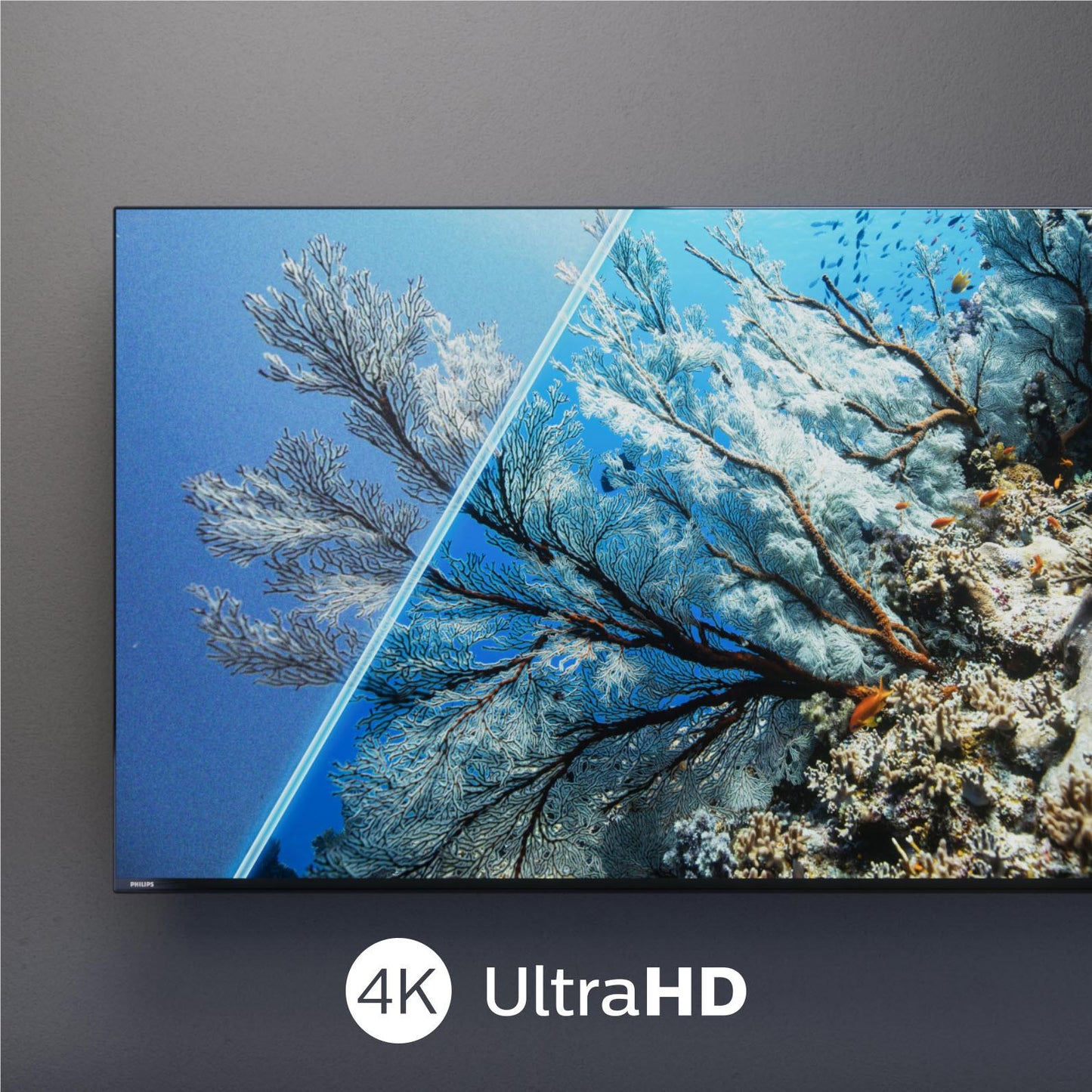 Philips 55" QLED 4K UHD Google TV [2025]