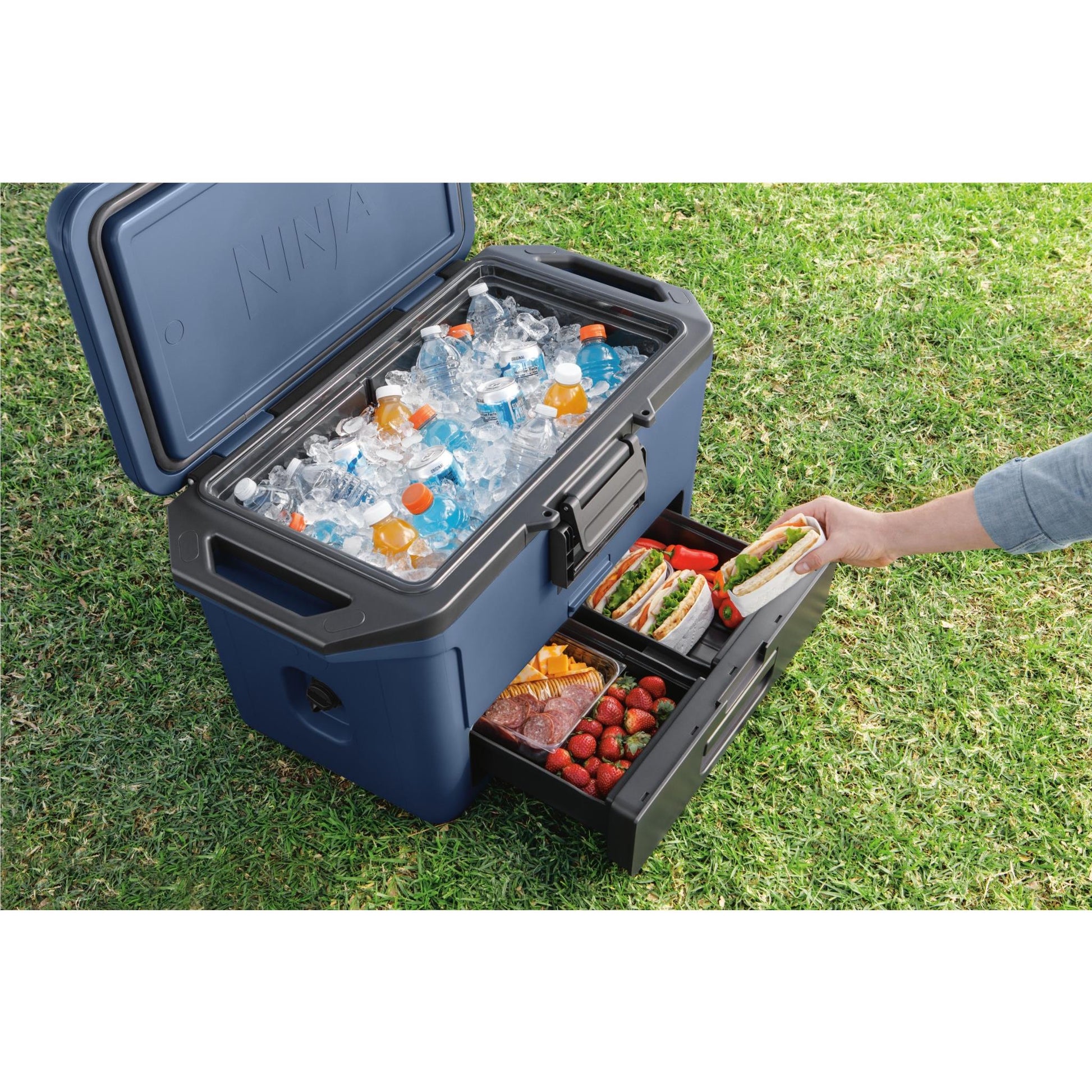 Ninja FrostVault 47L Hard Cooler (Lakeshore Blue)