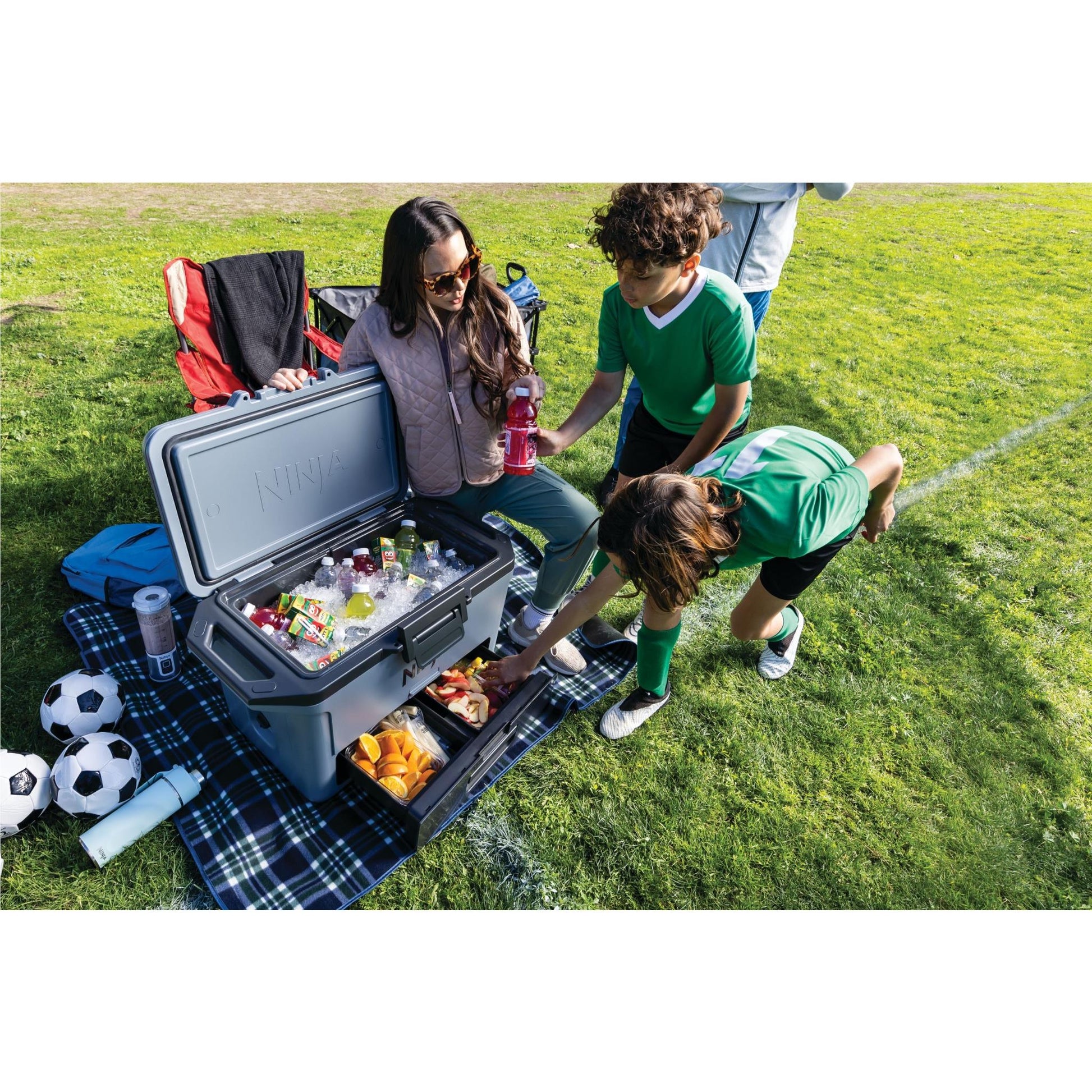 Ninja FrostVault 47L Hard Cooler (Lakeshore Blue)