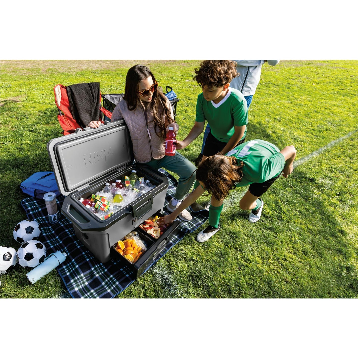 Ninja FrostVault 47L Hard Cooler (Slate Grey)