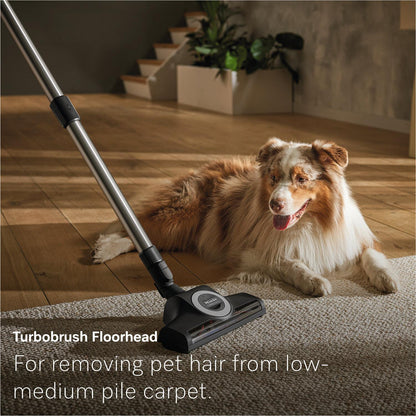 Miele Guard L1 Cat & Dog Bagged Vacuum Cleaner (Obsidian Black)