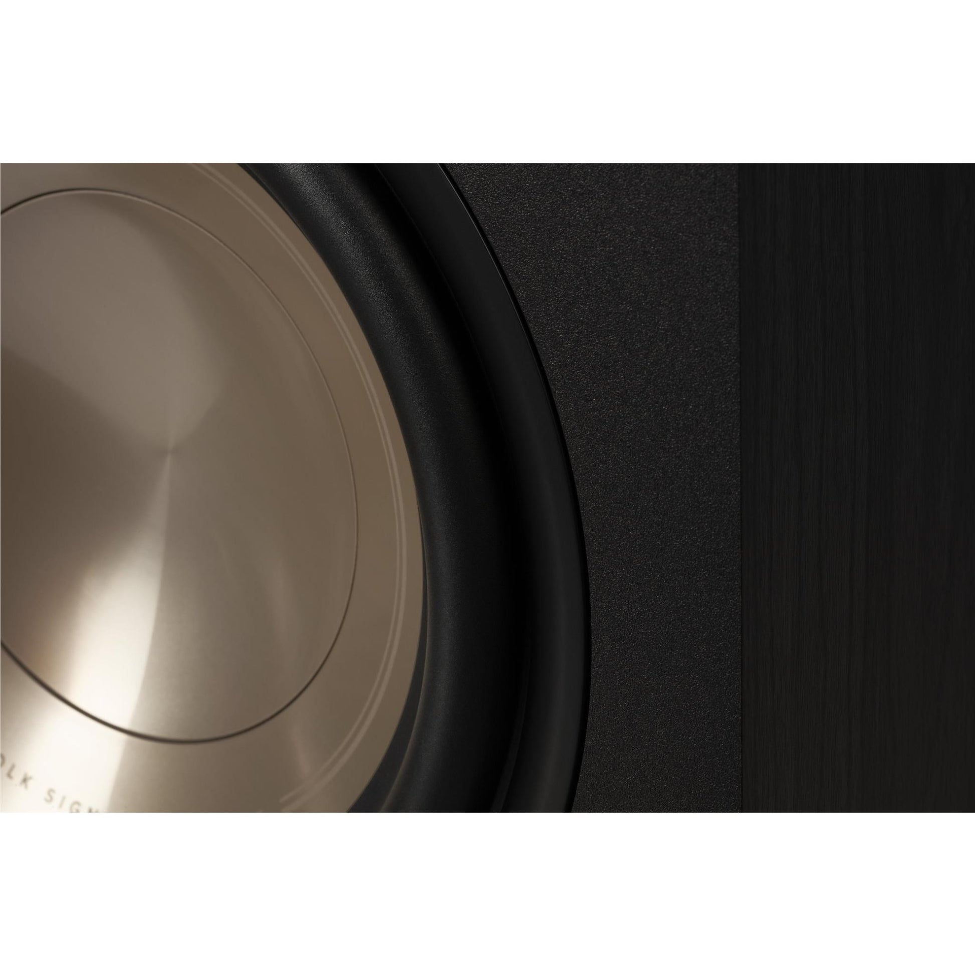 Polk Signature Elite 8" 100W Subwoofer
 (Black)