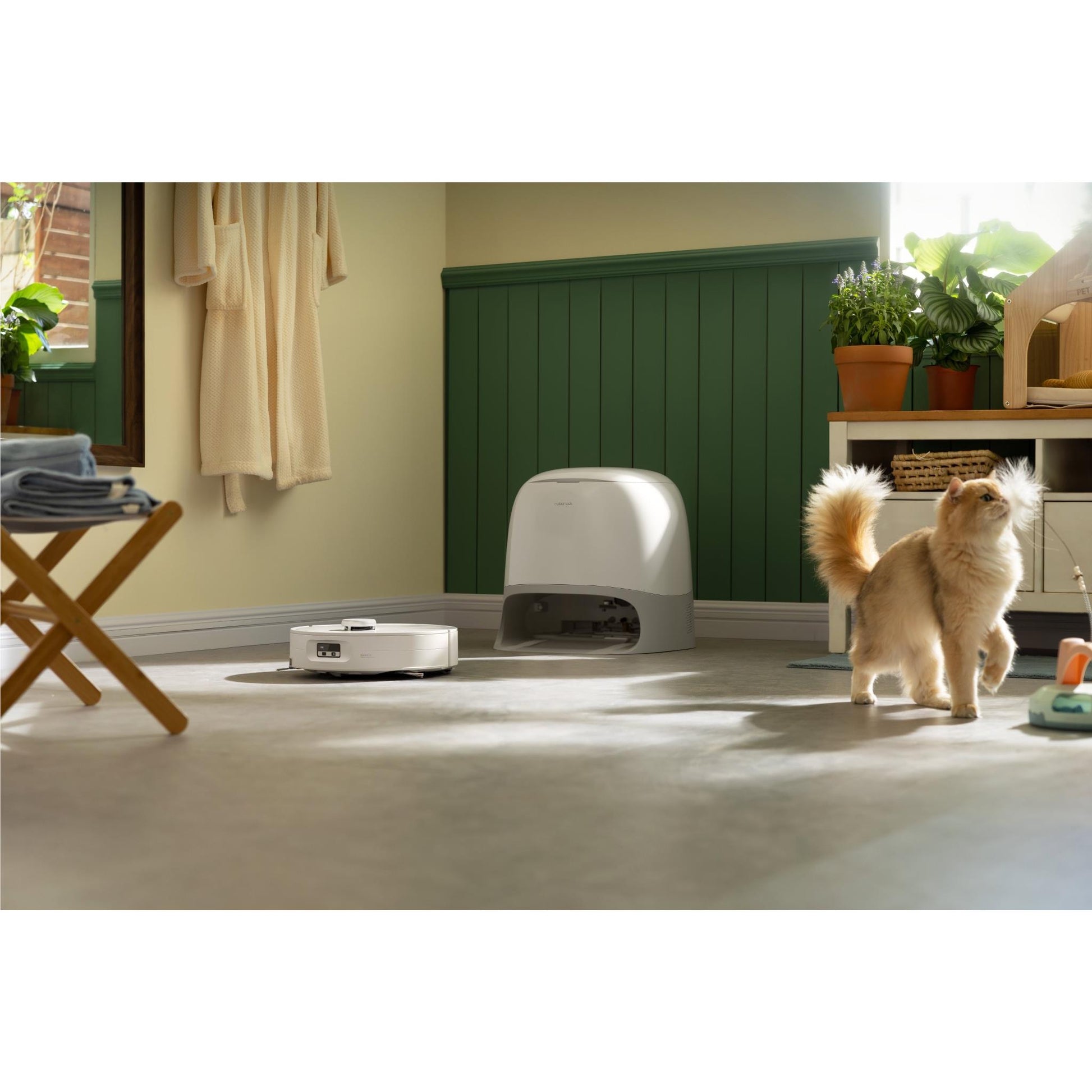 Roborock Qrevo Curv 2 Flow Robotic Vacuum Cleaner
