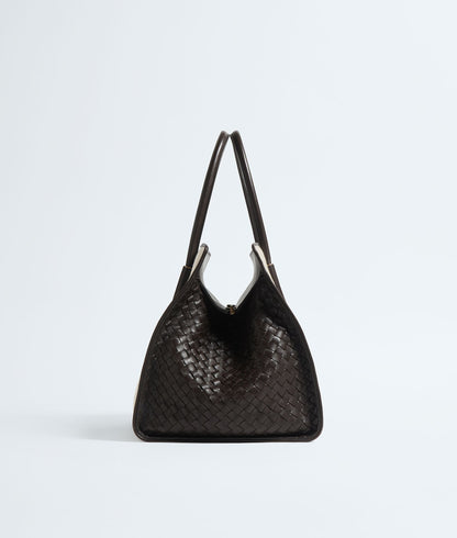 Bottega Veneta Barbara Tote in Natural and Espresso