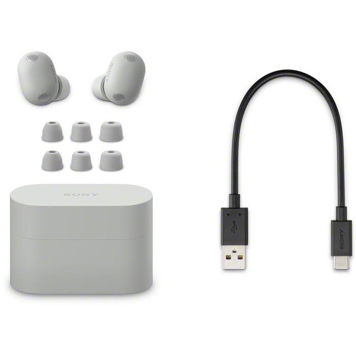 Sony WF-1000X M6 Truly Wireless Noise Cancelling Earbuds (Platinum Silver)