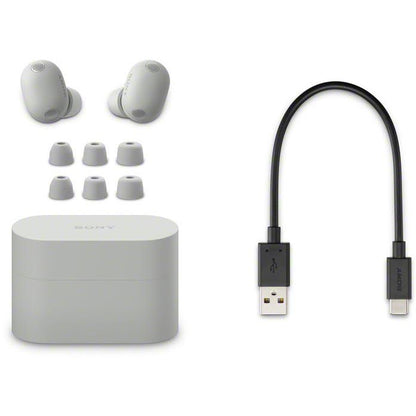 Sony WF-1000X M6 Truly Wireless Noise Cancelling Earbuds (Platinum Silver)