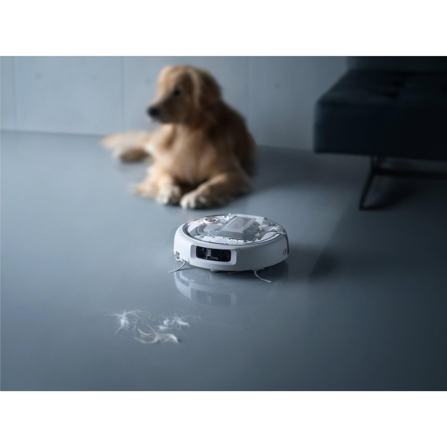 DJI Romo P Robotic Vacuum