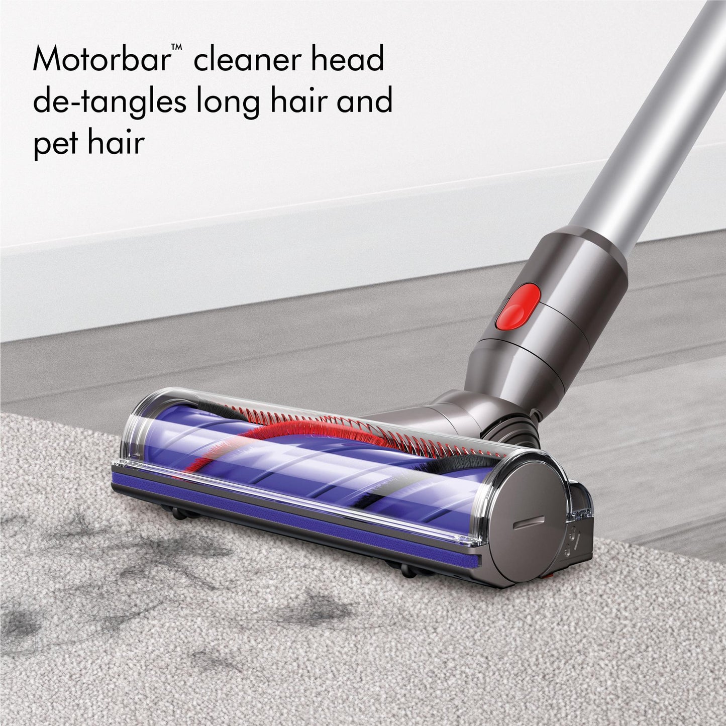 Dyson V8 Advanced + Car Cleaning Kit