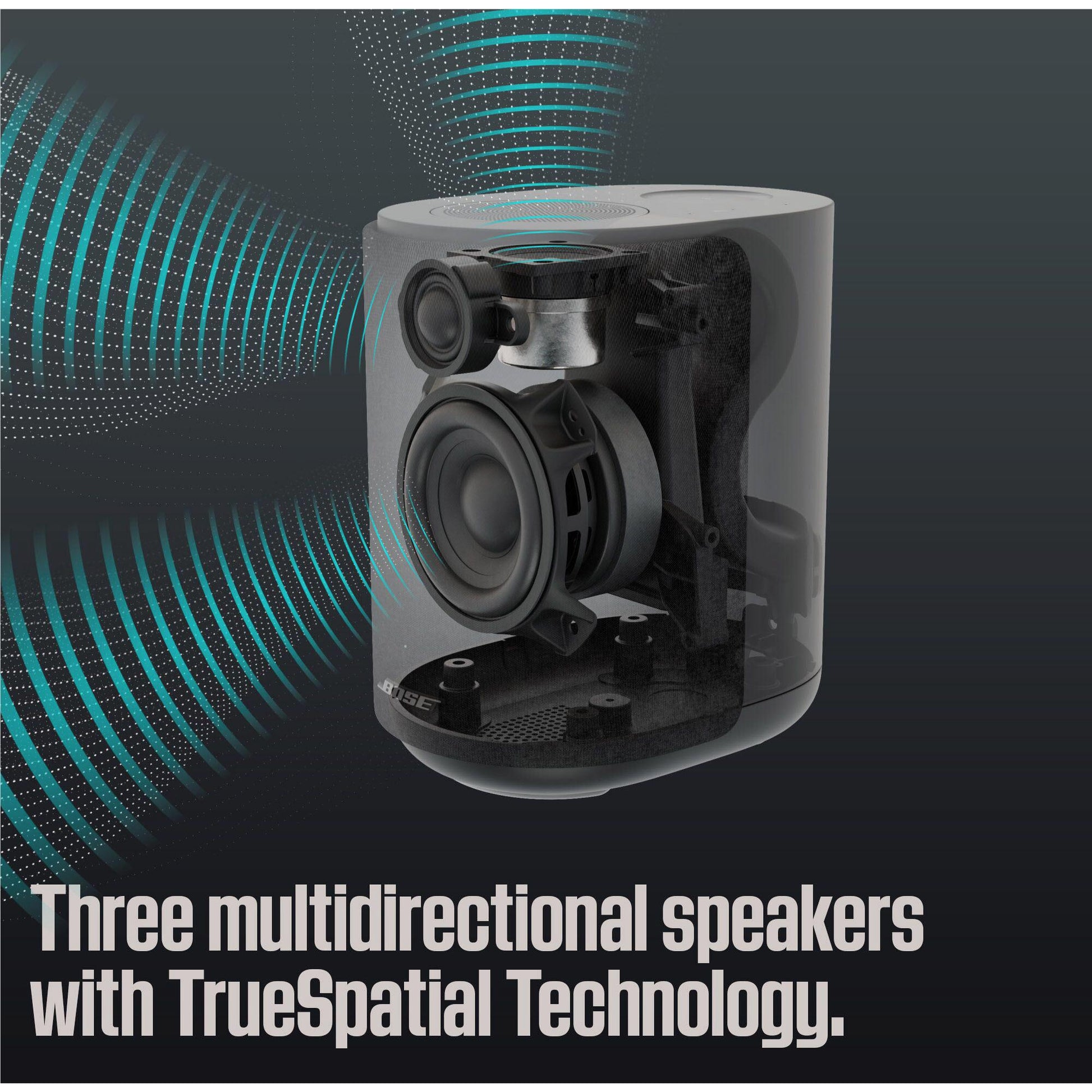 Bose Lifestyle Ultra Speaker (Black)