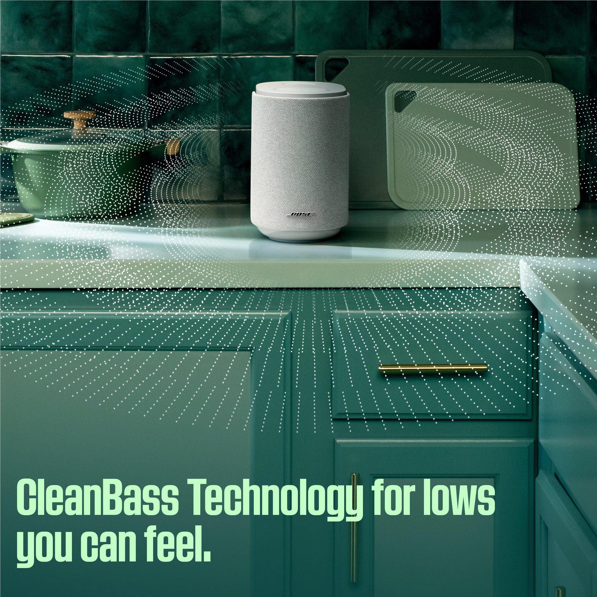 Bose Lifestyle Ultra Speaker (Black)