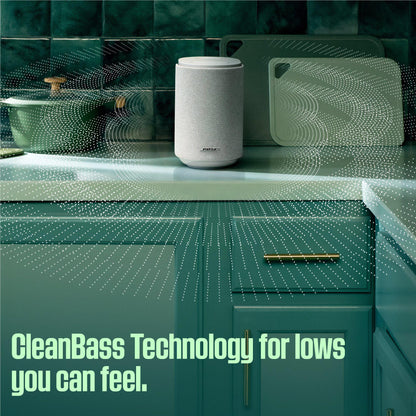 Bose Lifestyle Ultra Speaker (Black)