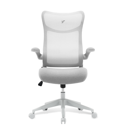 TT AIRFLEX V2 Ergochair - Ashy Grey