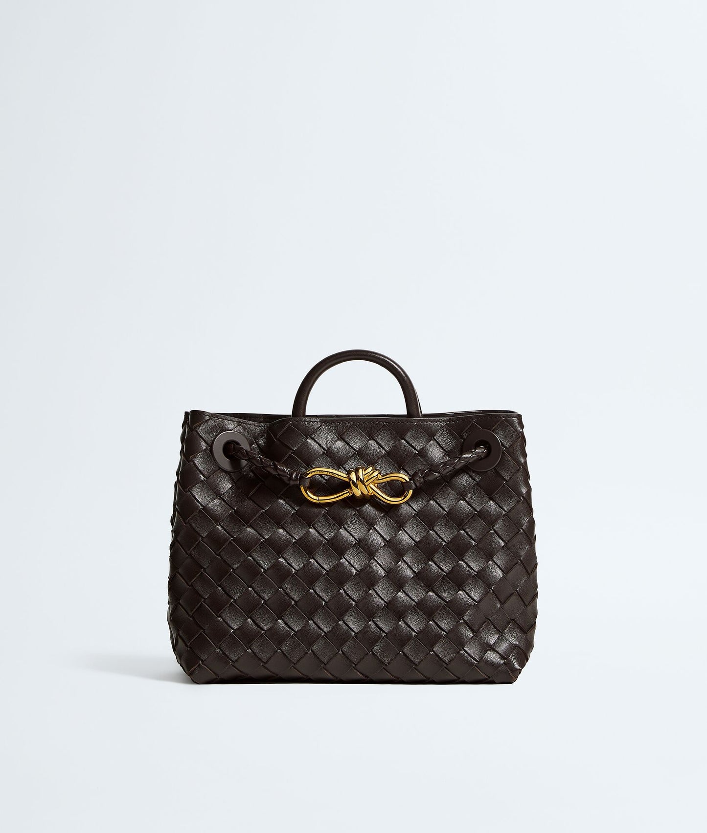 Bottega Veneta Small Andiamo in Fondant
