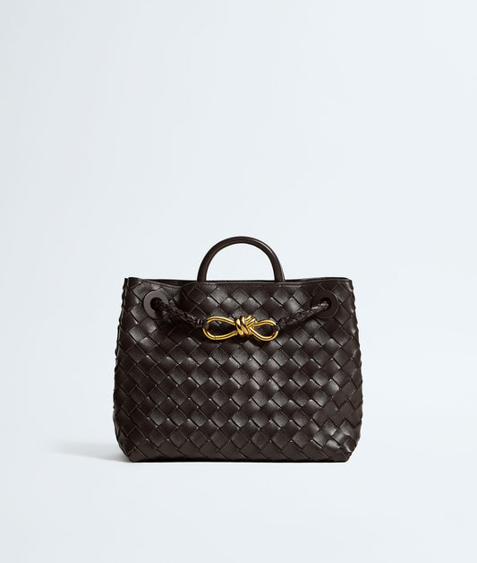 Bottega Veneta Small Andiamo in Fondant