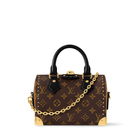 Louis Vuitton Speedy Trunk 20 Monogram