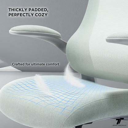 TT AIRFLEX V2 Ergochair - Ashy Grey
