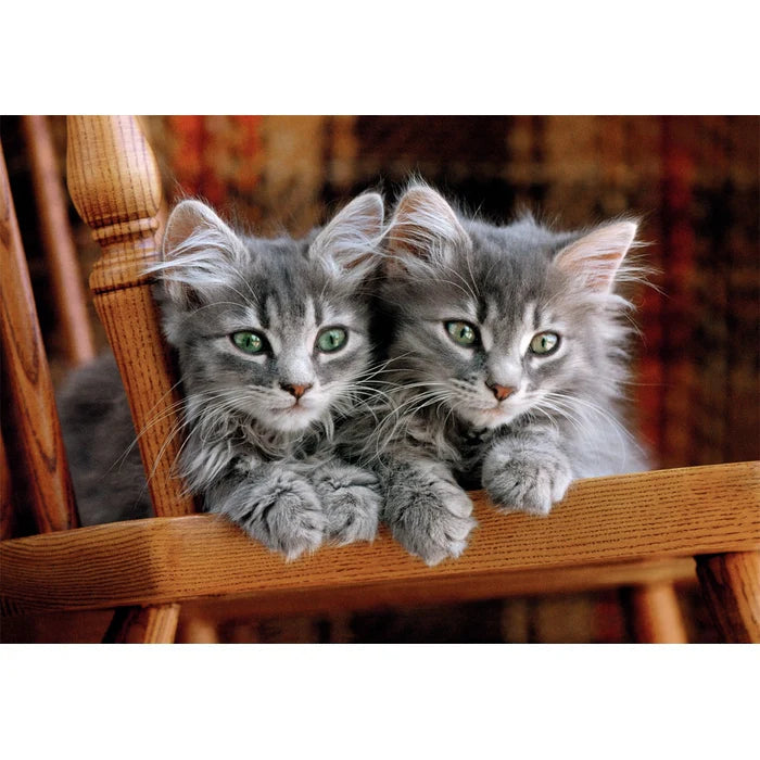 Clementoni 500-Pieces Kittens Puzzle