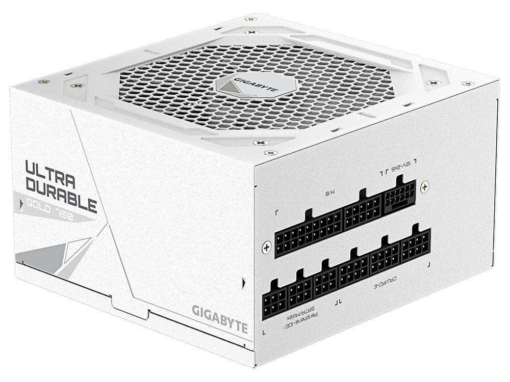 GIGABYTE UD750GM PG5 750W 80+ Gold Fully Modular ATX 3.0 Power Supply (Ice)