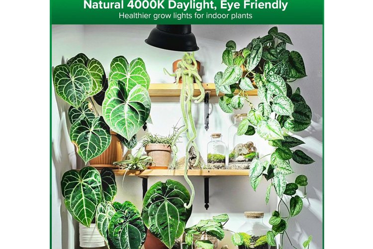 Sansi E27 PAR25 15W LED Grow Light Bulb
