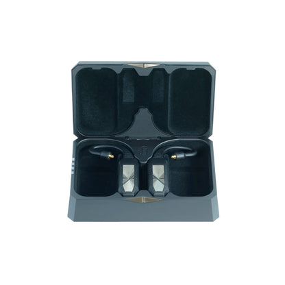 iFi GO Pod Bluetooth True Wireless Adapter