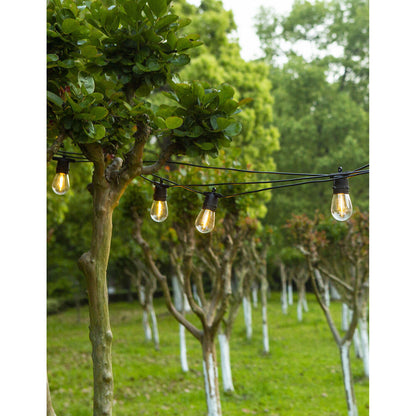 LumiFX 20 Bulb LED WIFI Smart Festoon Lights 20m Warm White