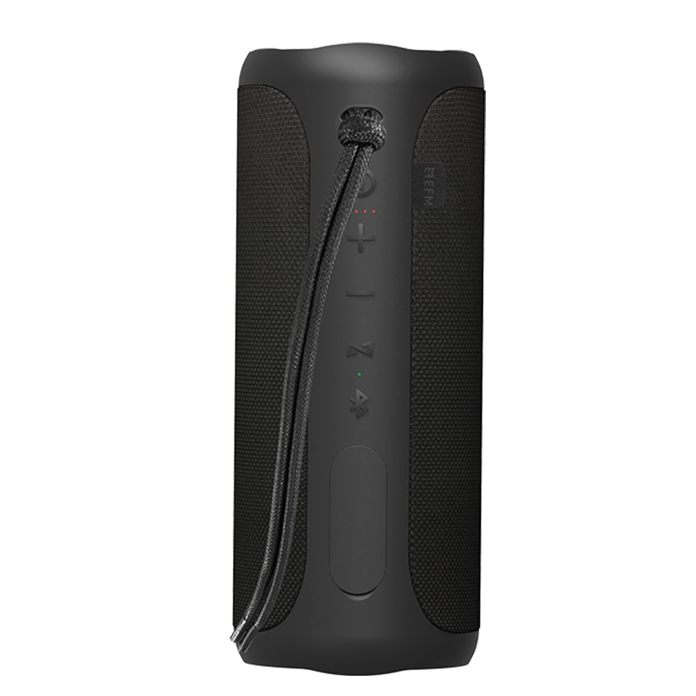 EFM Austin Pro 40W Bluetooth Speaker (Charcoal Black)
