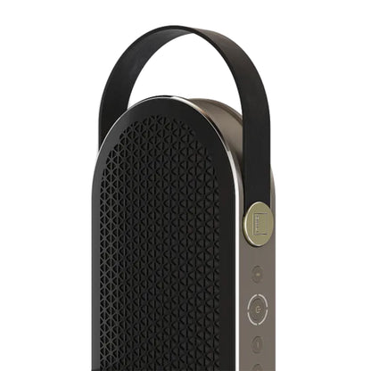 DALI KATCH G2 Portable Speaker (Iron Black)