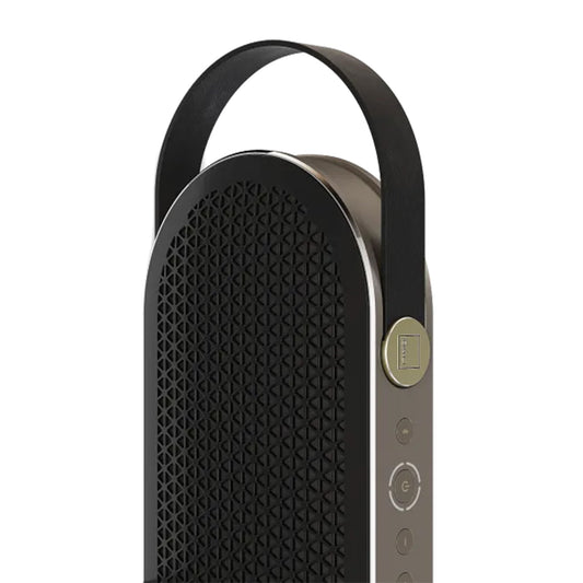 DALI KATCH G2 Portable Speaker (Iron Black)