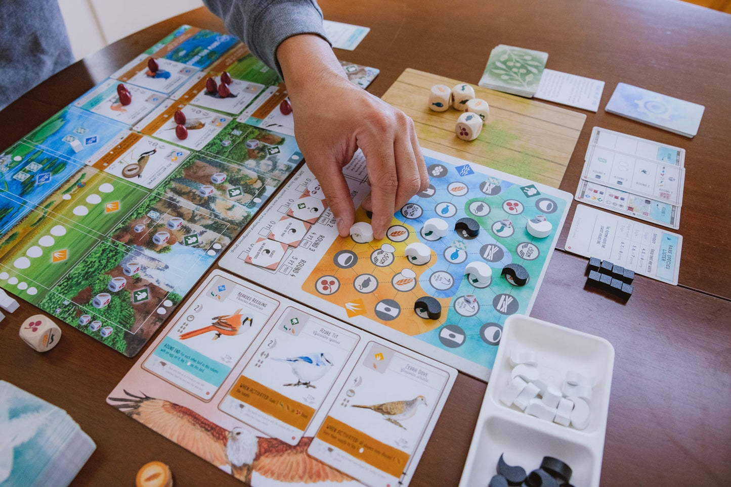 Stonemaier Games Wingspan Asia Board Game