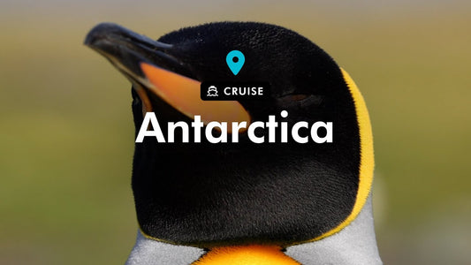 Swan Hellenic Luxury Antarctica