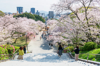 Southern Japan