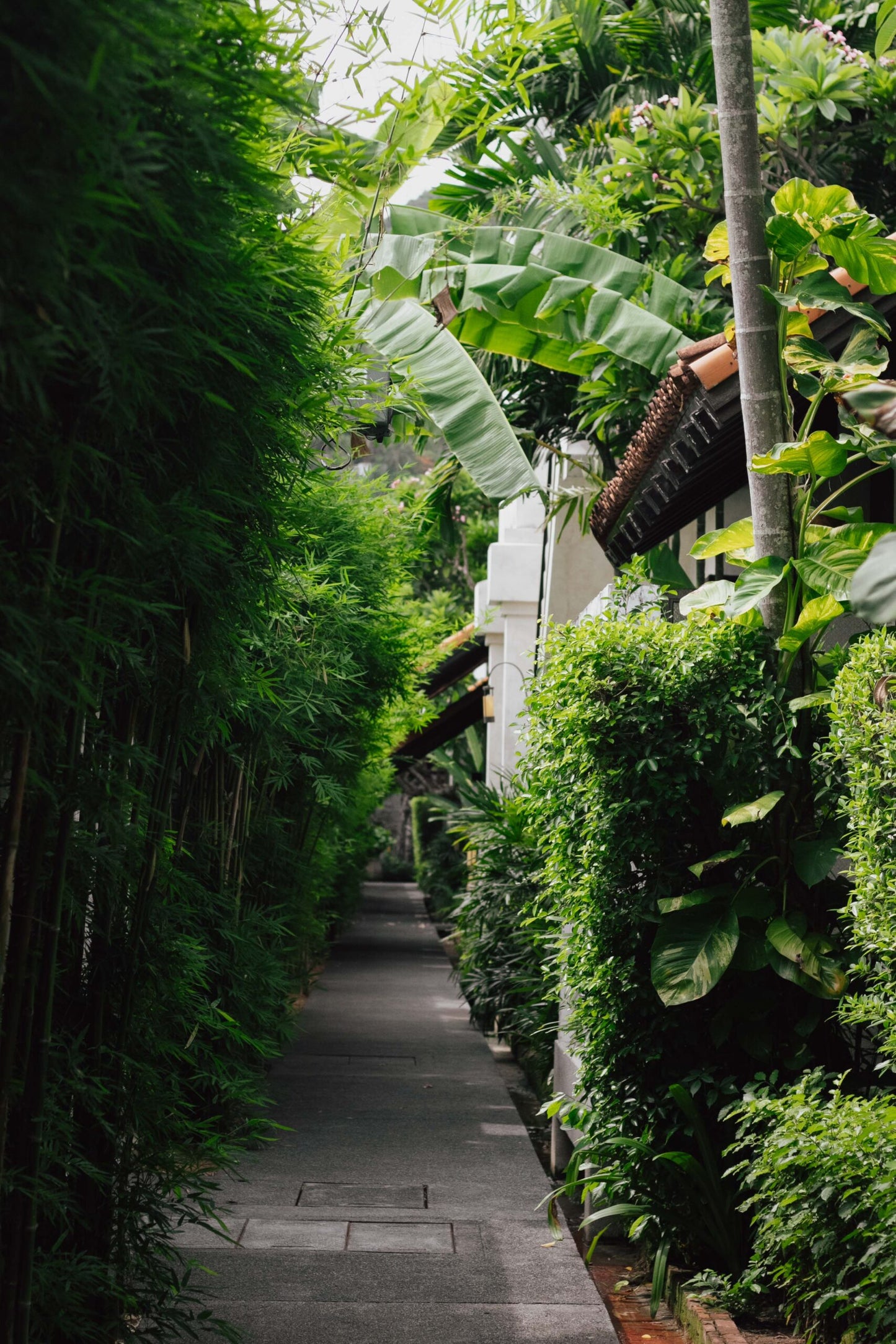 The Lamai Samui beachfront resort grounds