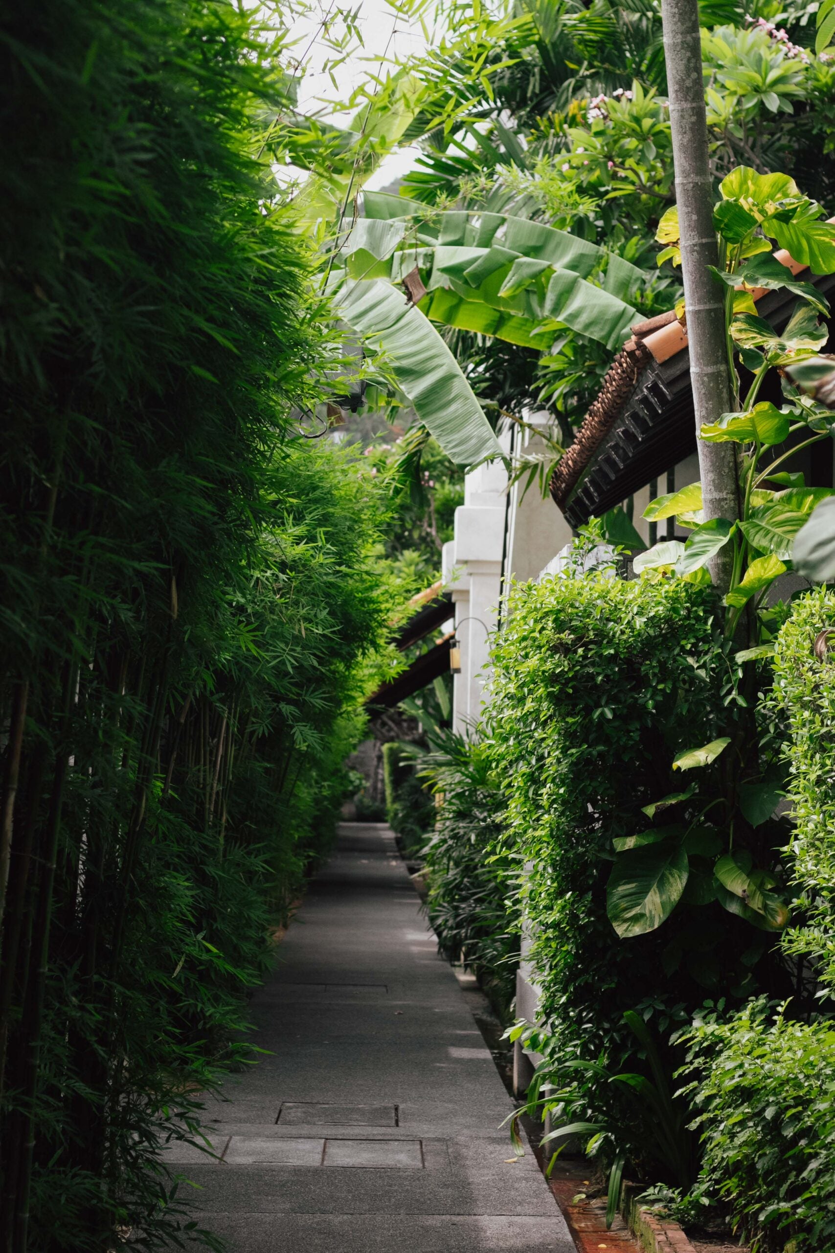 The Lamai Samui beachfront resort grounds