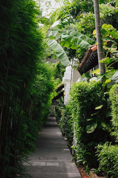 The Lamai Samui beachfront resort grounds